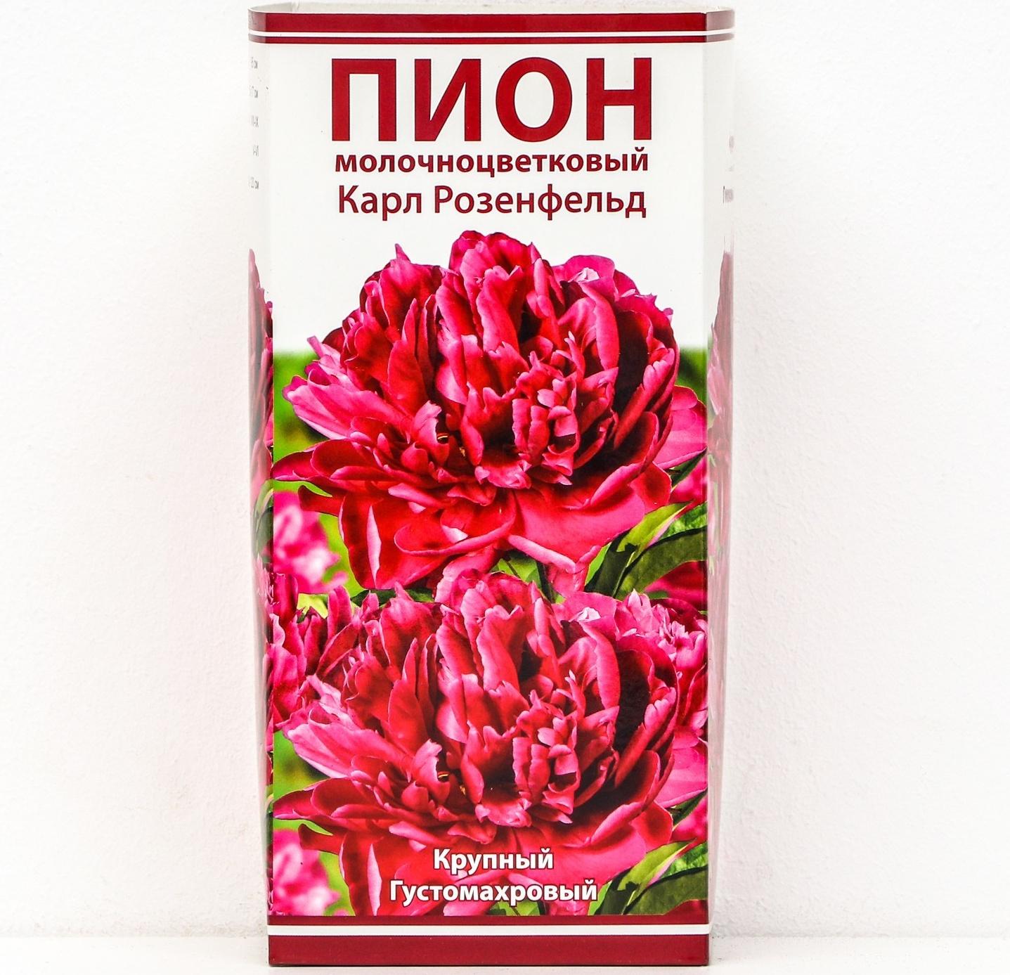 Пионы молочноцветковые и гибриды 