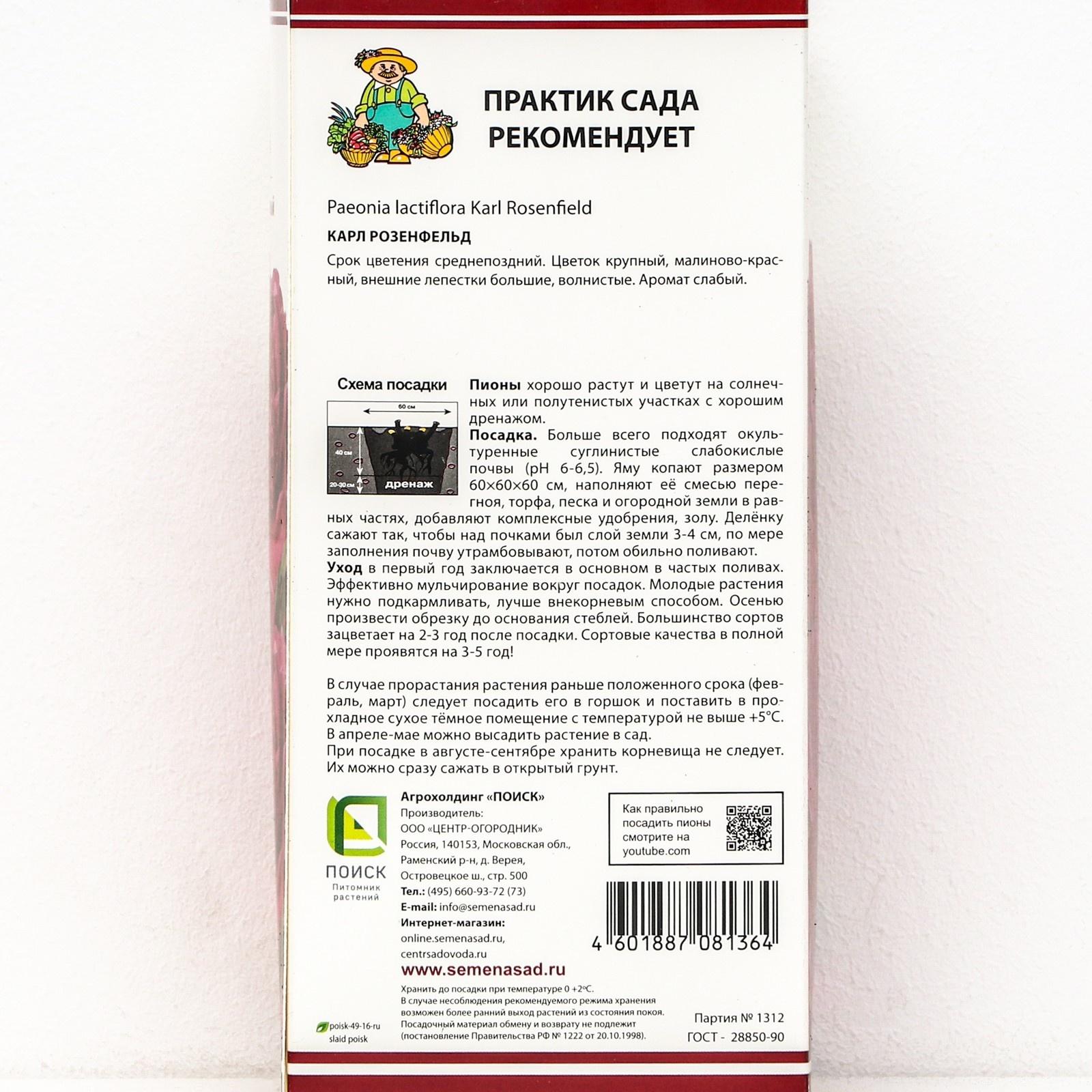 Пионы молочноцветковые и гибриды 