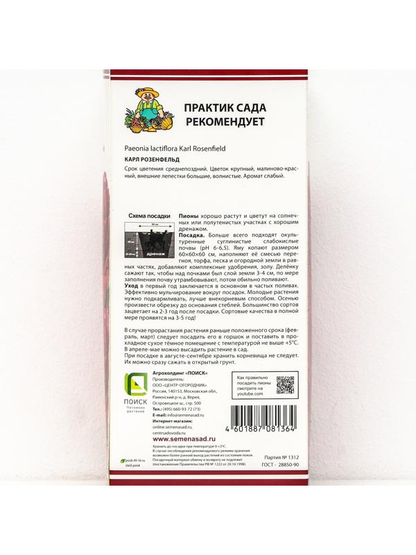 Пионы молочноцветковые и гибриды 