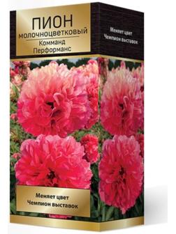 Пионы молочноцветковые и гибриды 