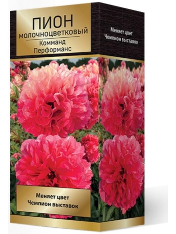 Пионы молочноцветковые и гибриды 