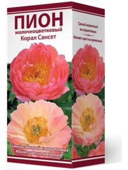 Пионы молочноцветковые и гибриды 