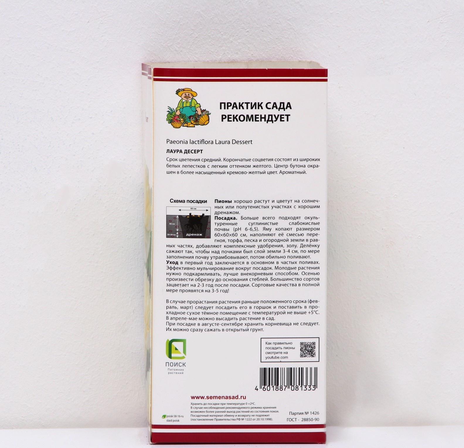 Пионы молочноцветковые и гибриды 