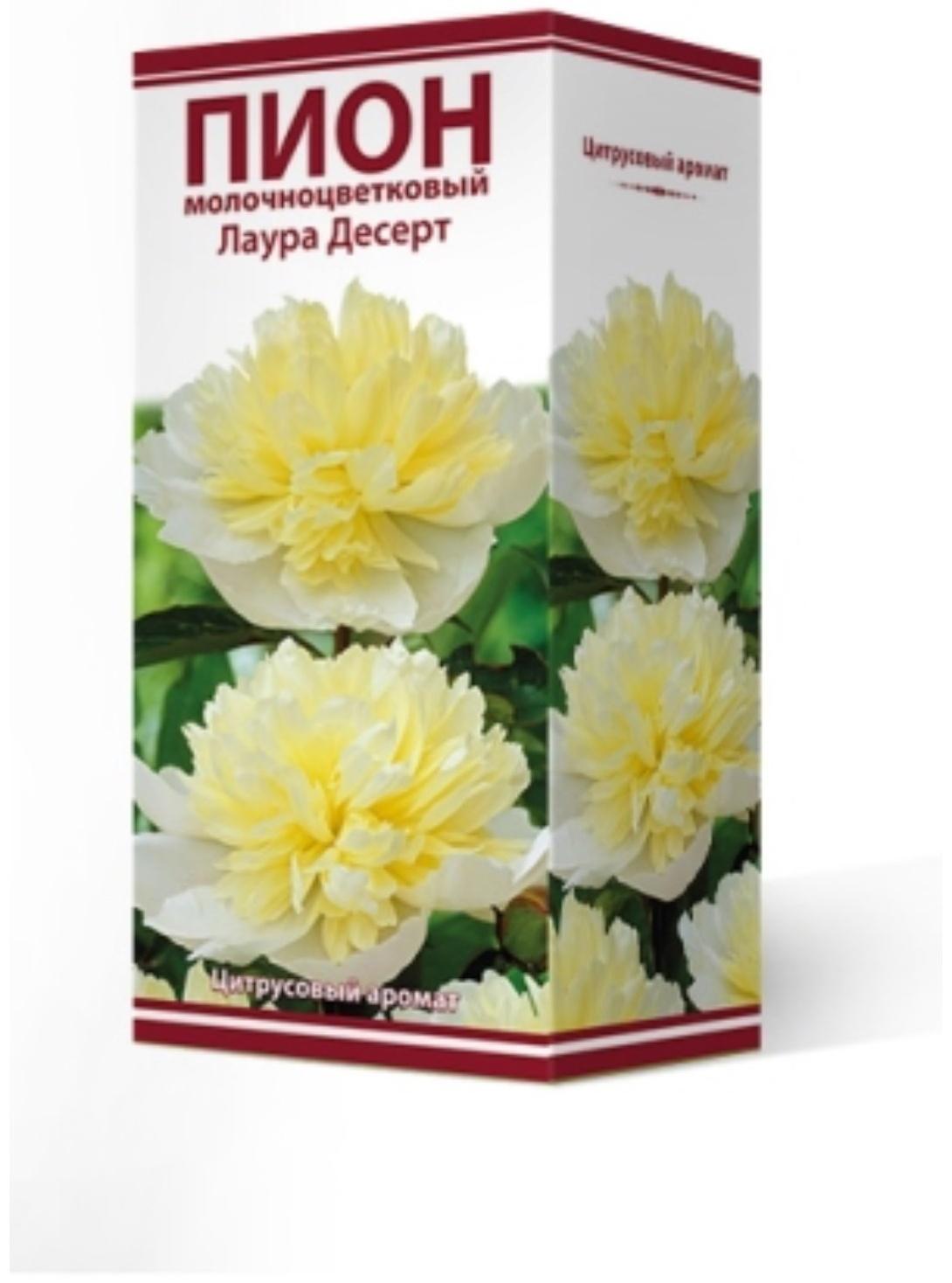 Пионы молочноцветковые и гибриды 