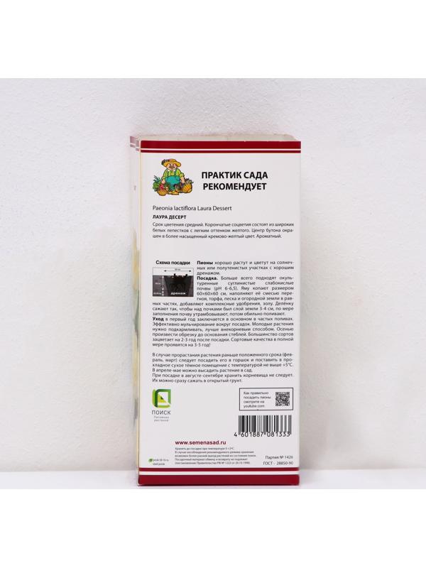 Пионы молочноцветковые и гибриды 