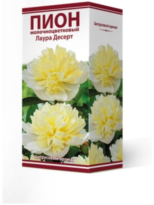 Пионы молочноцветковые и гибриды 