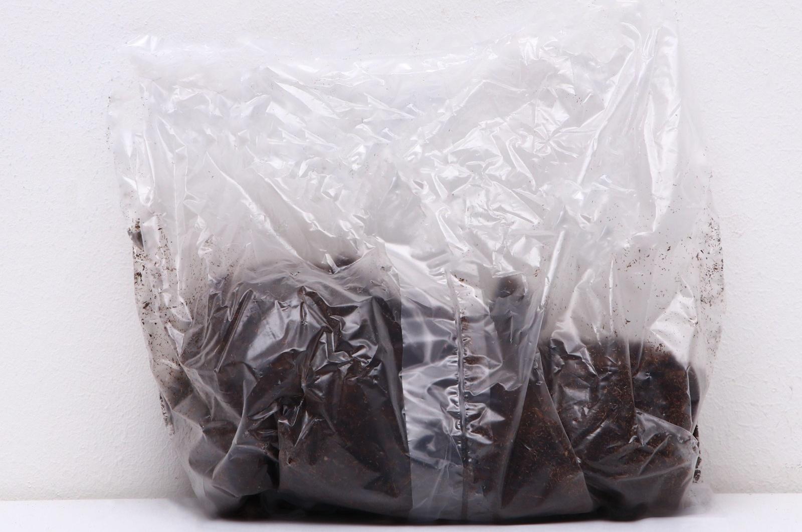 Пионы молочноцветковые и гибриды 