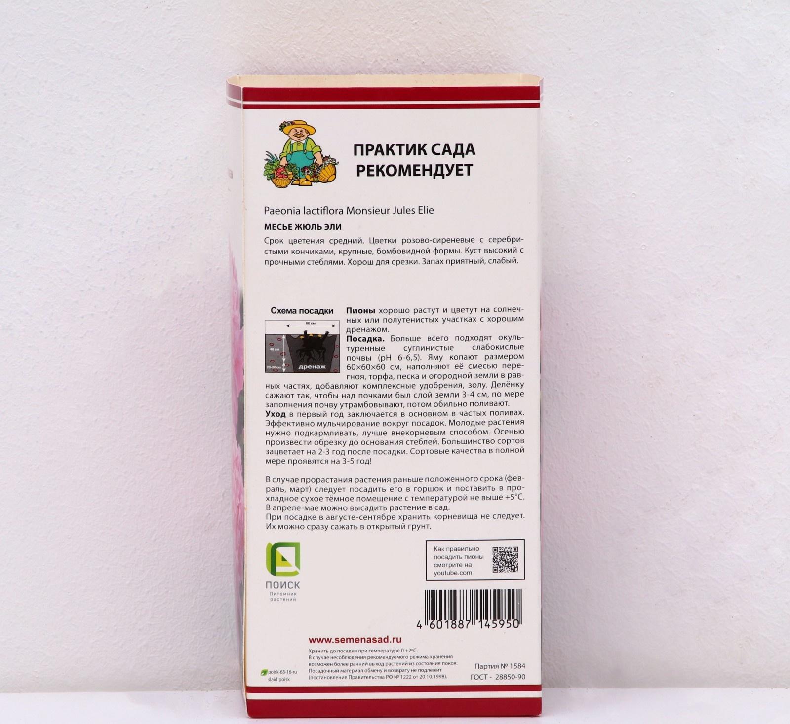 Пионы молочноцветковые и гибриды 