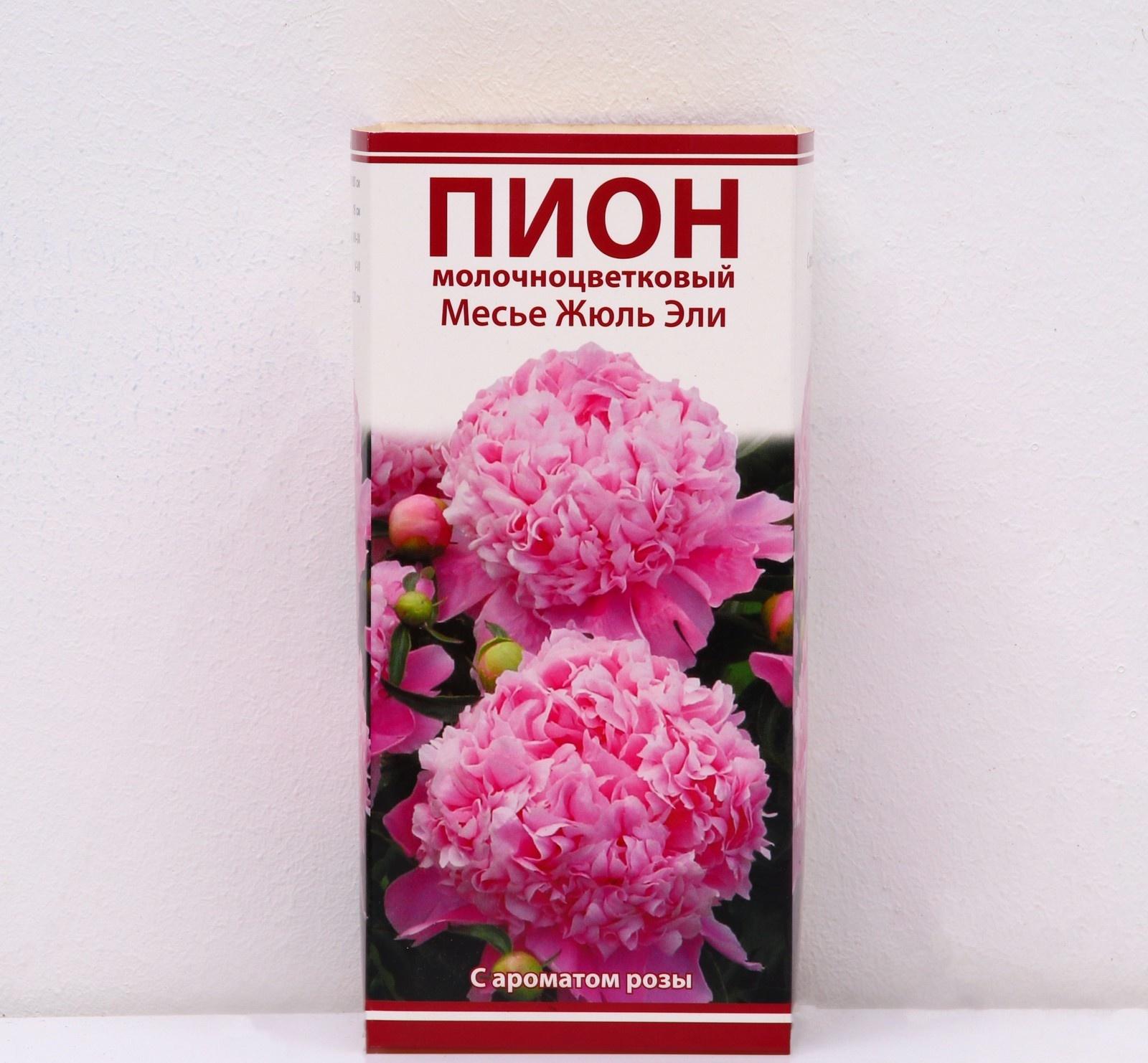 Пионы молочноцветковые и гибриды 