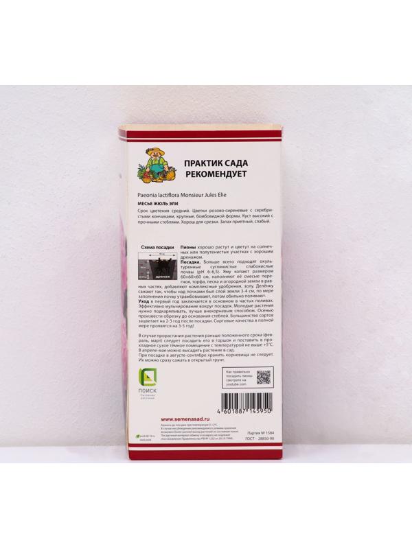 Пионы молочноцветковые и гибриды 