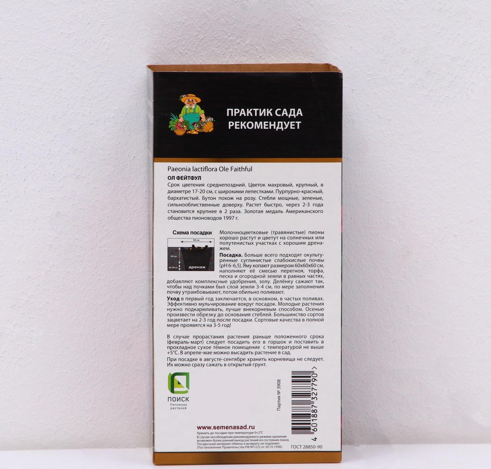 Пионы молочноцветковые и гибриды 