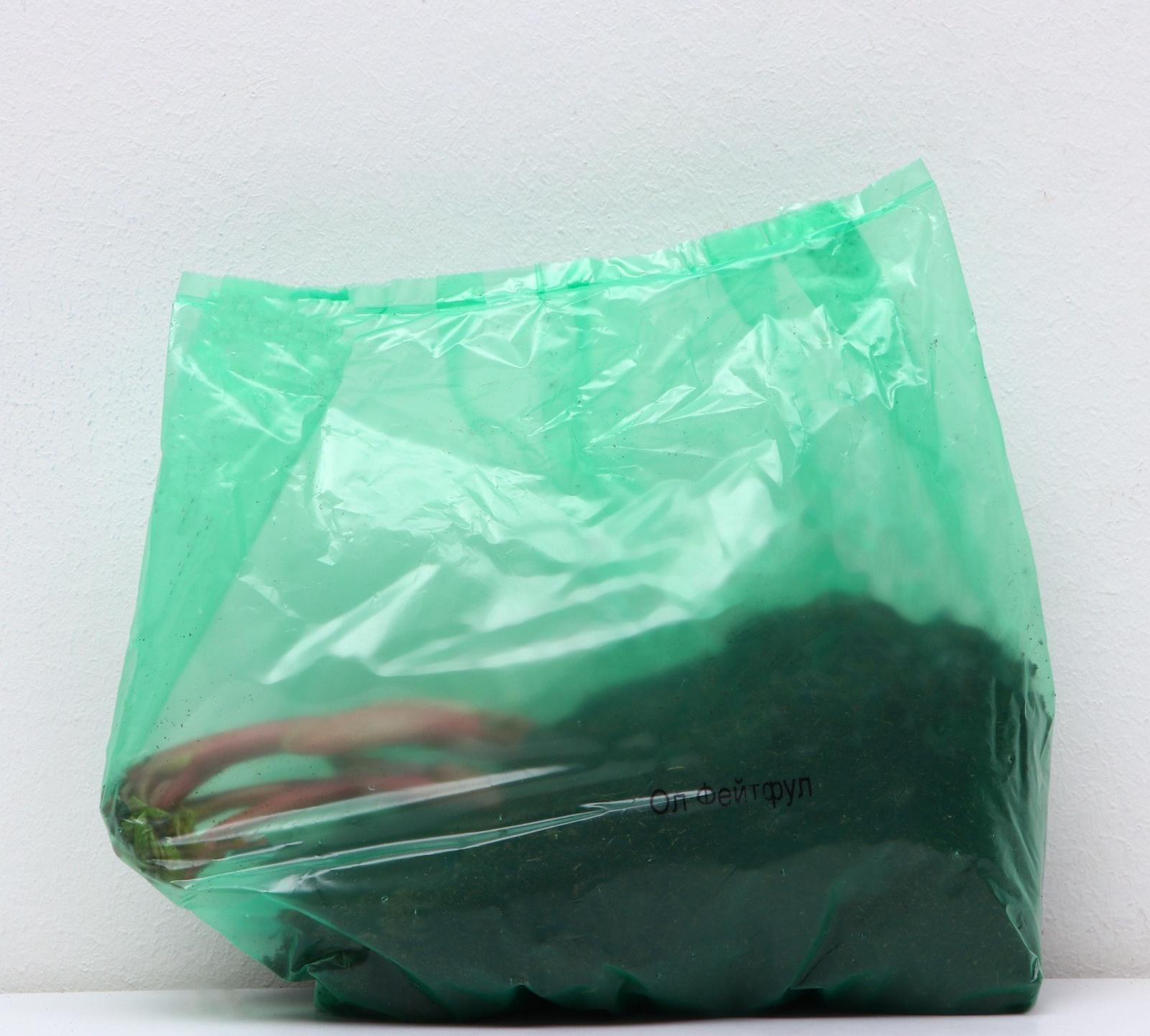 Пионы молочноцветковые и гибриды 