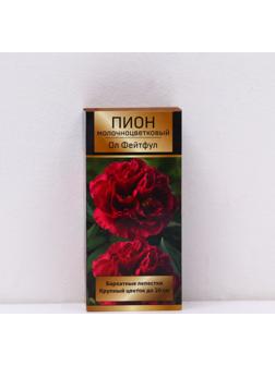 Пионы молочноцветковые и гибриды 