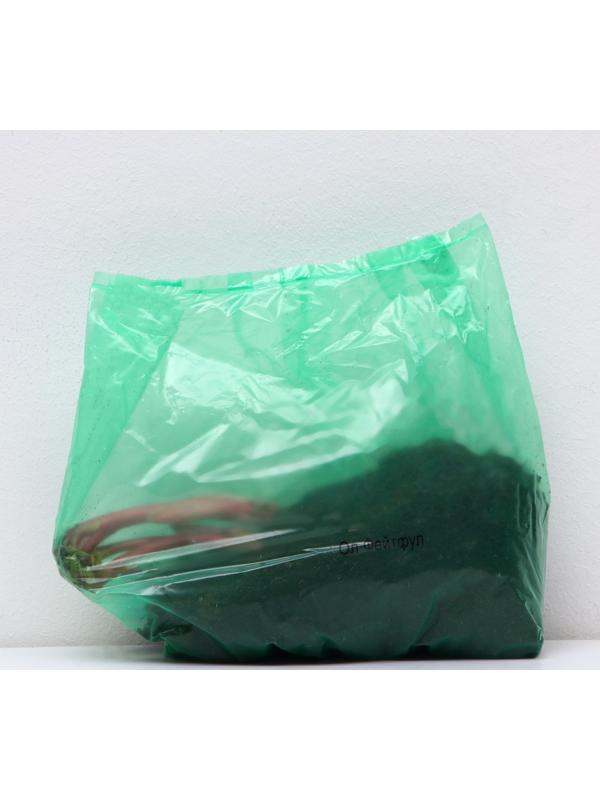 Пионы молочноцветковые и гибриды 