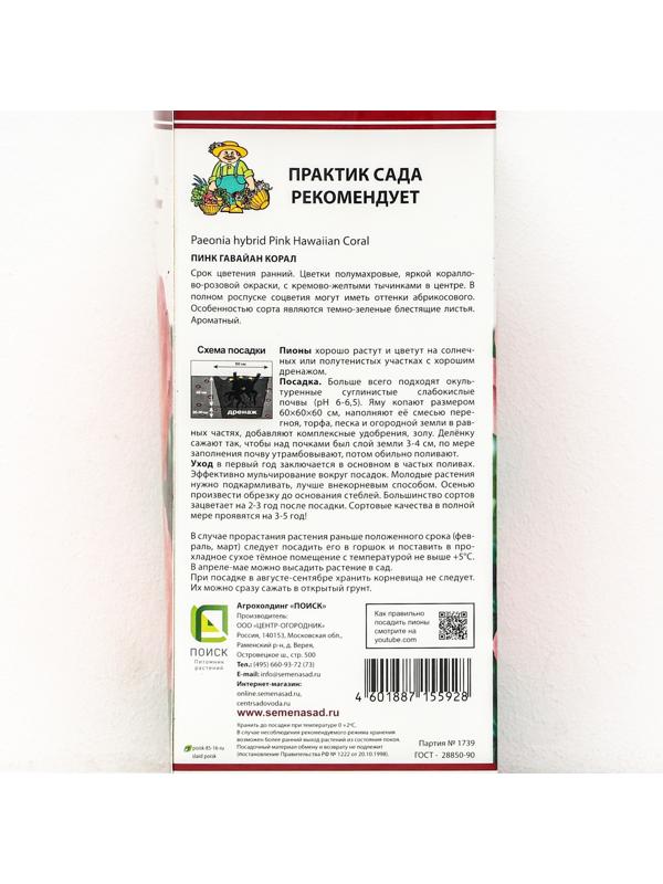 Пионы молочноцветковые и гибриды 