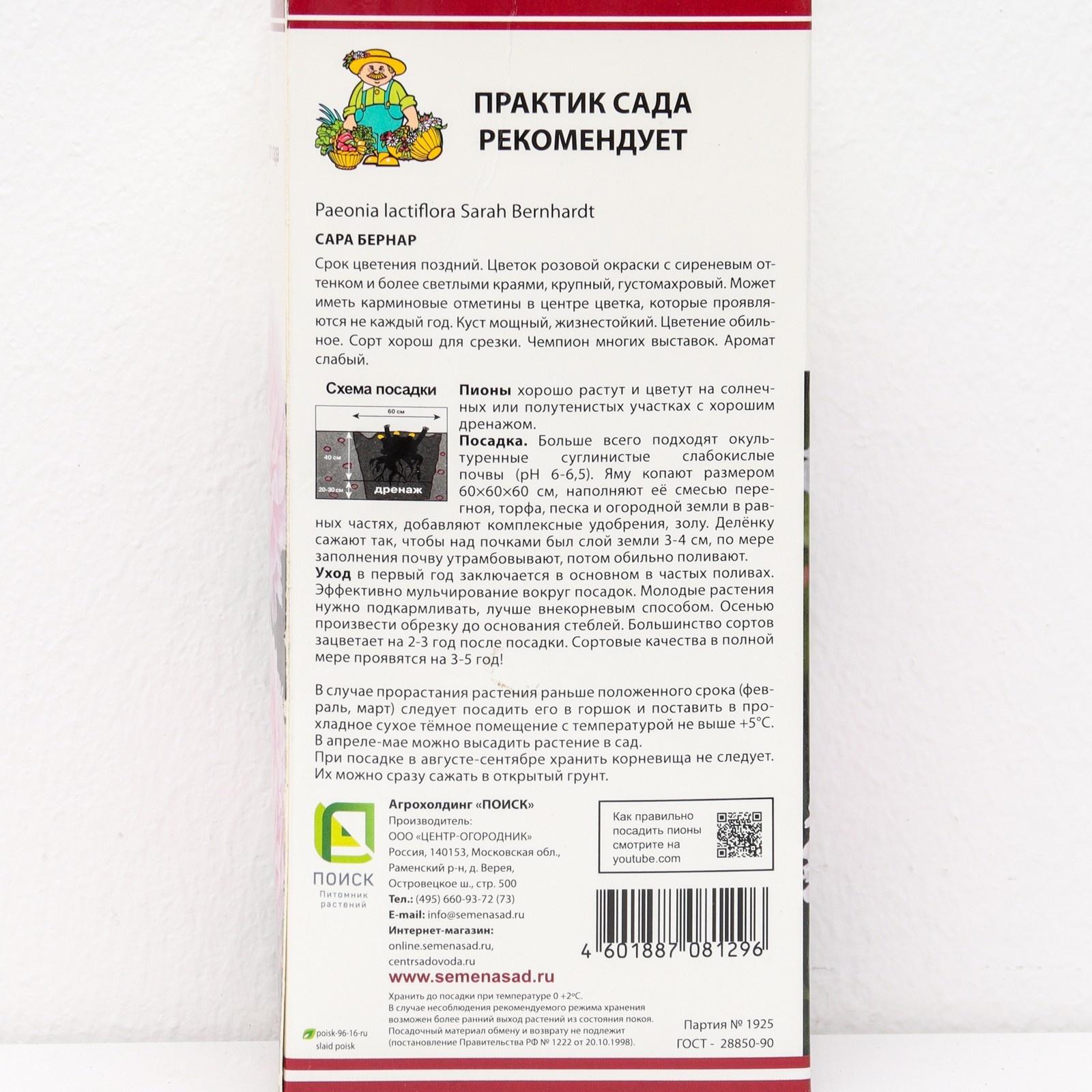 Пионы молочноцветковые и гибриды 