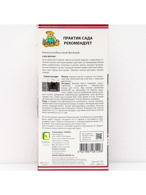 Пионы молочноцветковые и гибриды 