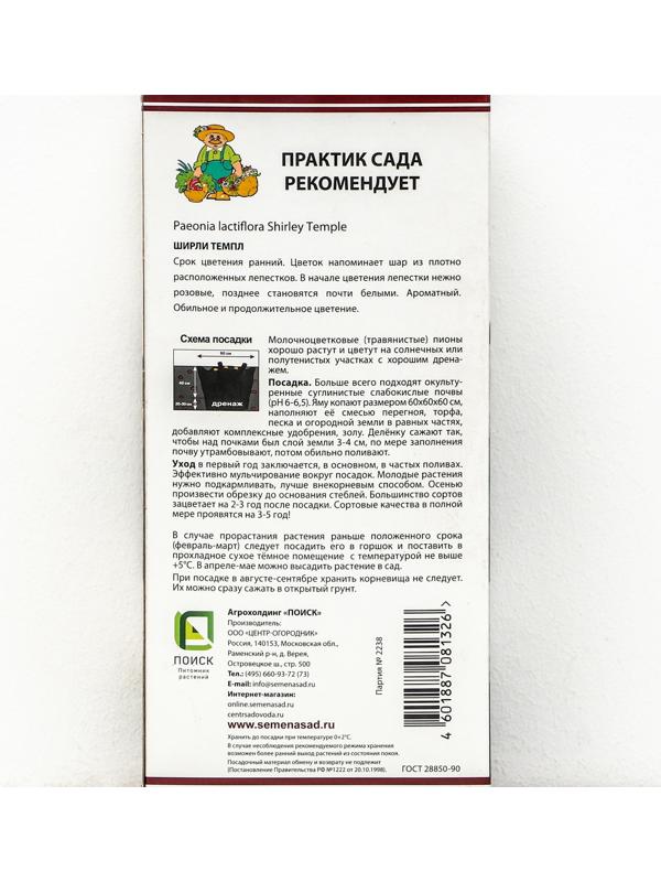 Пионы молочноцветковые и гибриды 