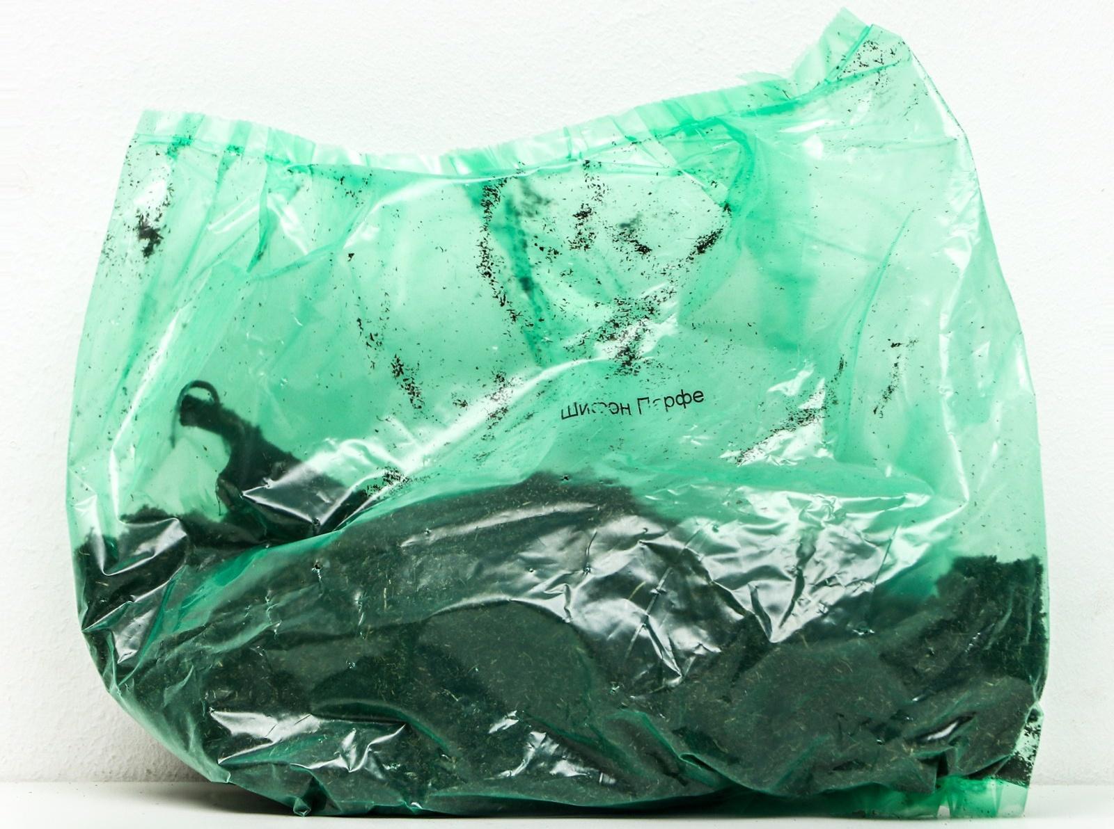 Пионы молочноцветковые и гибриды 