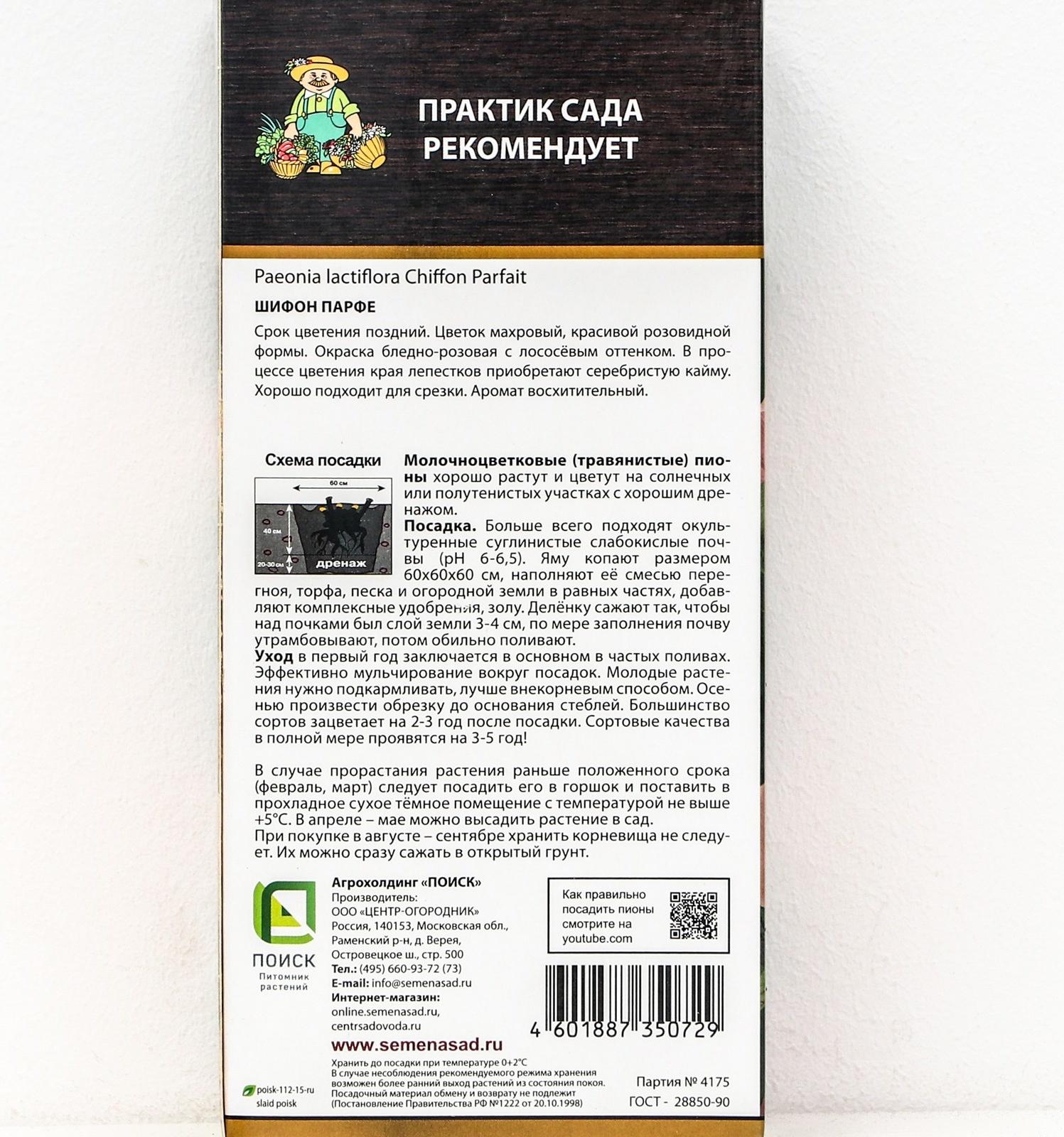 Пионы молочноцветковые и гибриды 