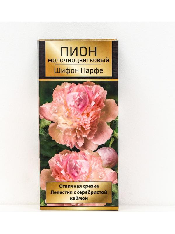 Пионы молочноцветковые и гибриды 