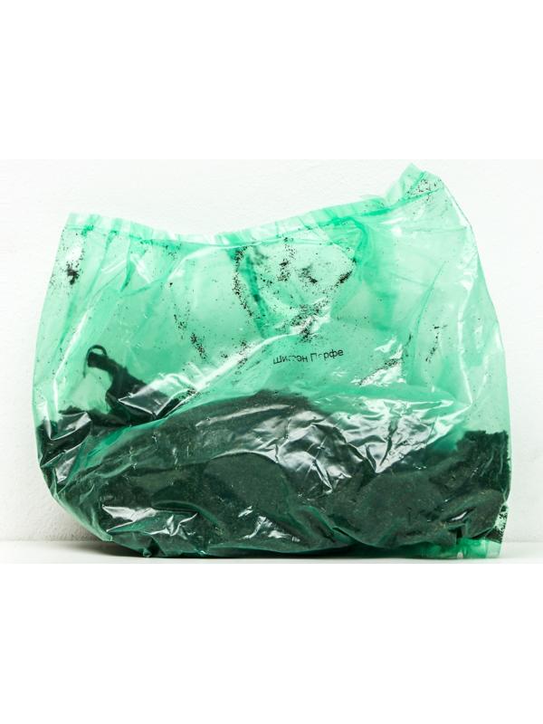 Пионы молочноцветковые и гибриды 