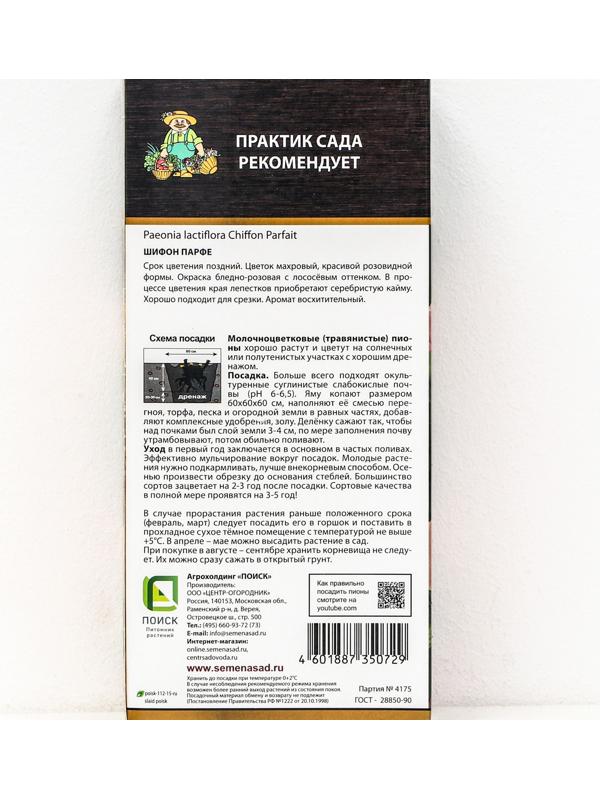 Пионы молочноцветковые и гибриды 