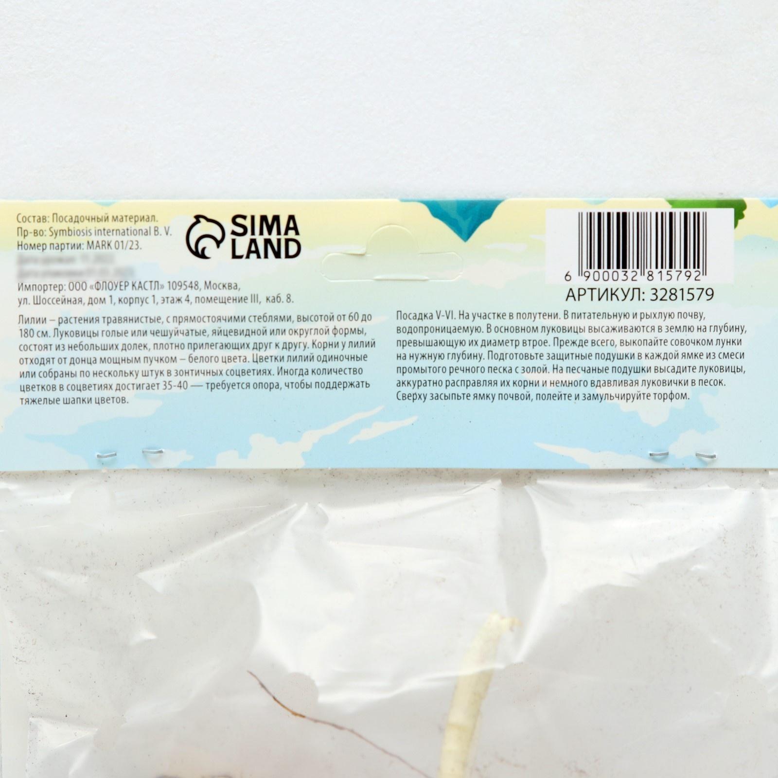 Лилия Многоцветная 