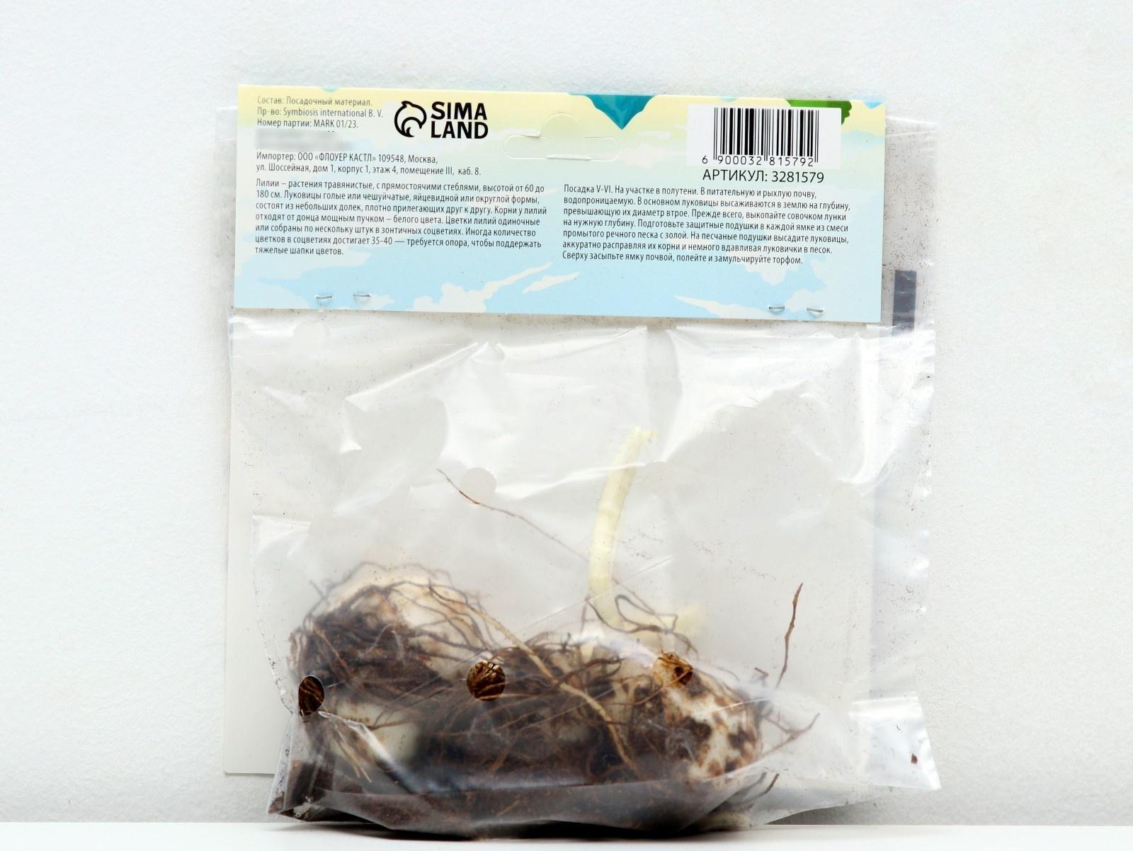 Лилия Многоцветная 