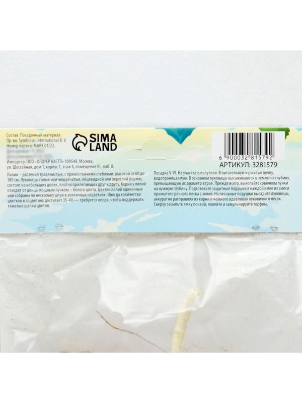 Лилия Многоцветная 