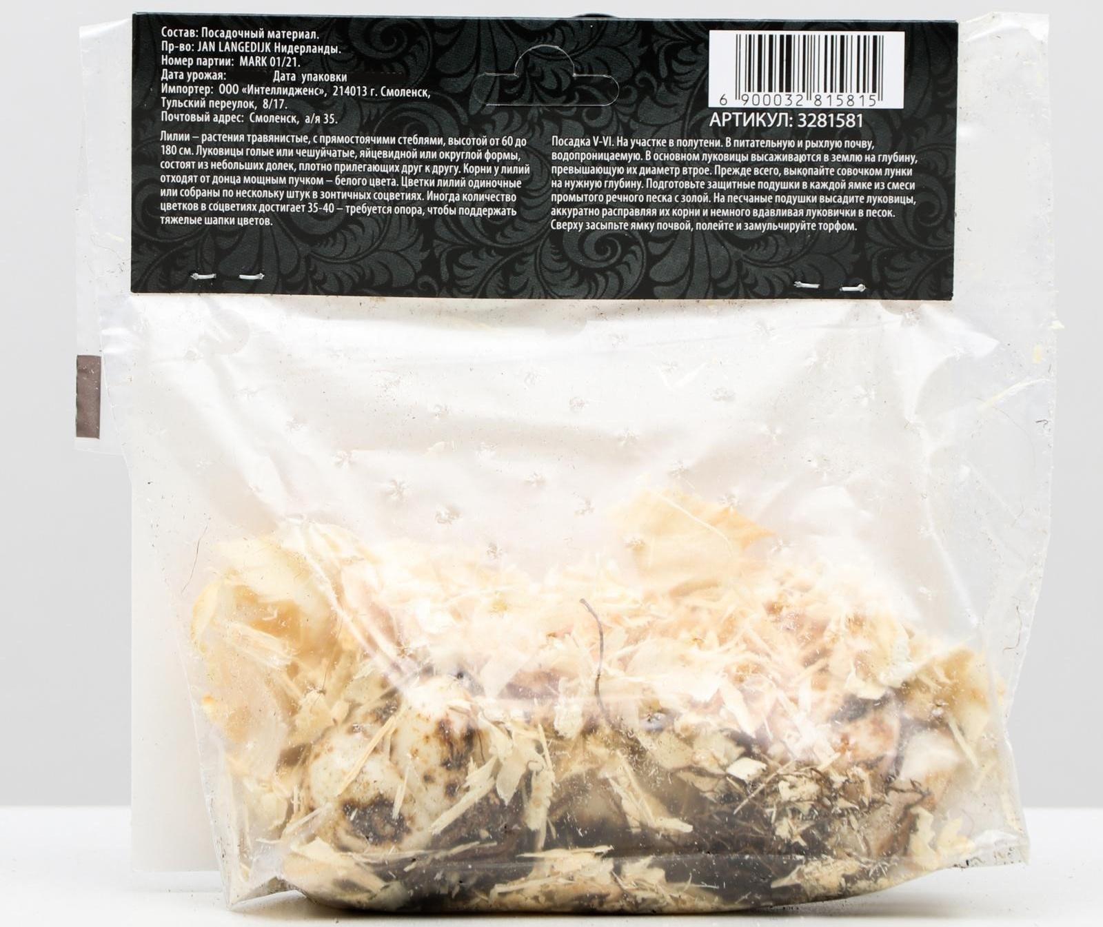 Лилия Многоцветная 