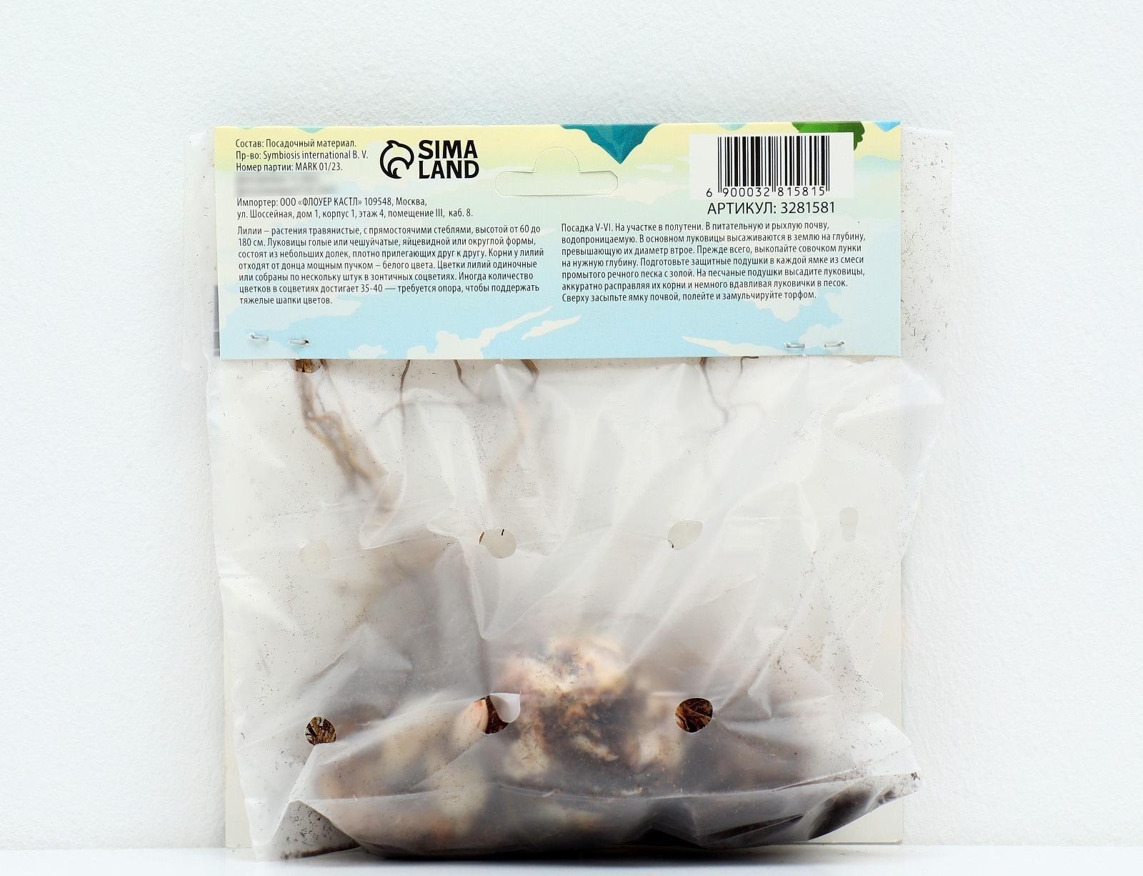 Лилия Многоцветная 