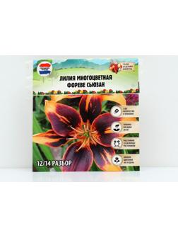 Лилия Многоцветная 