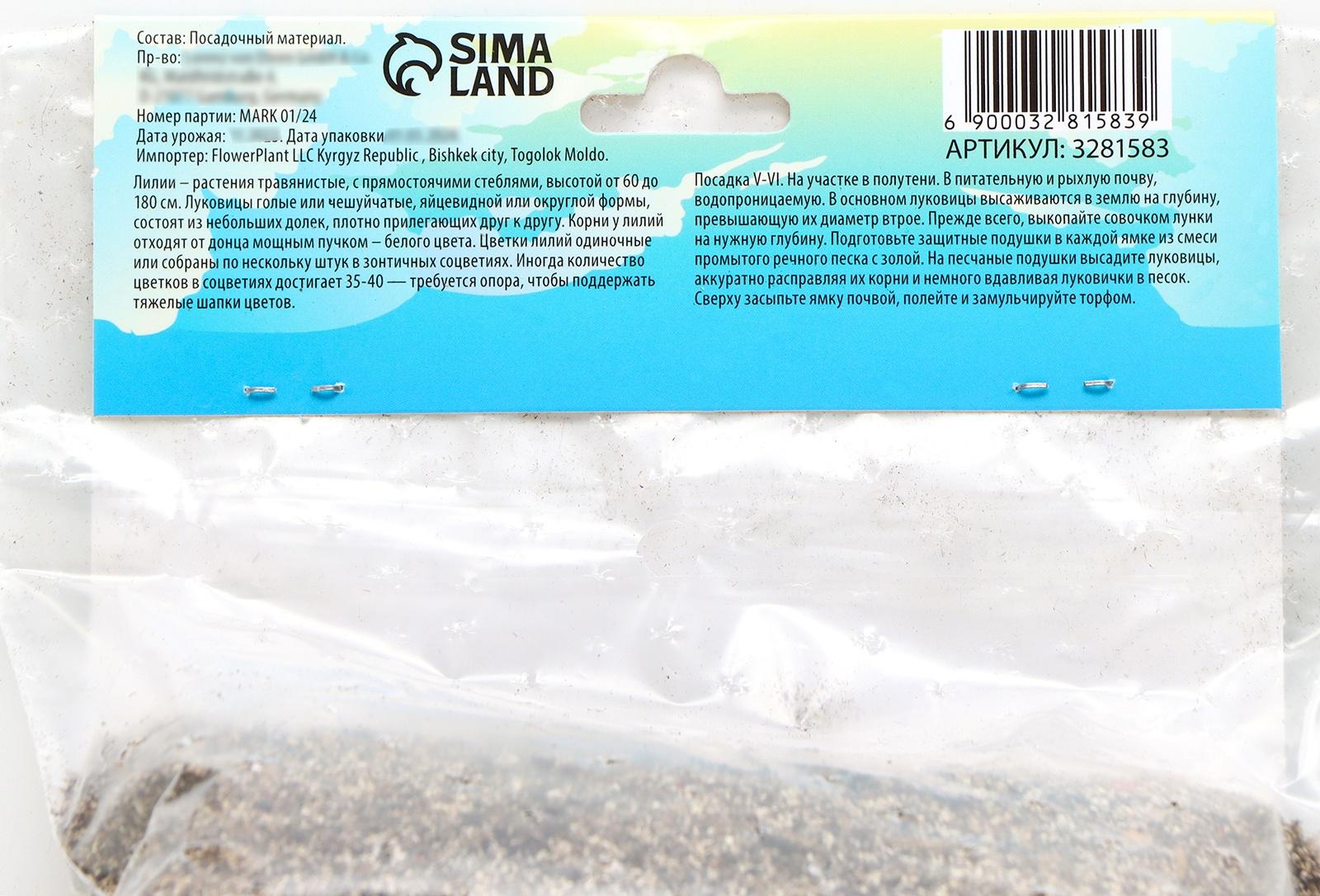 Лилия Азиатская 