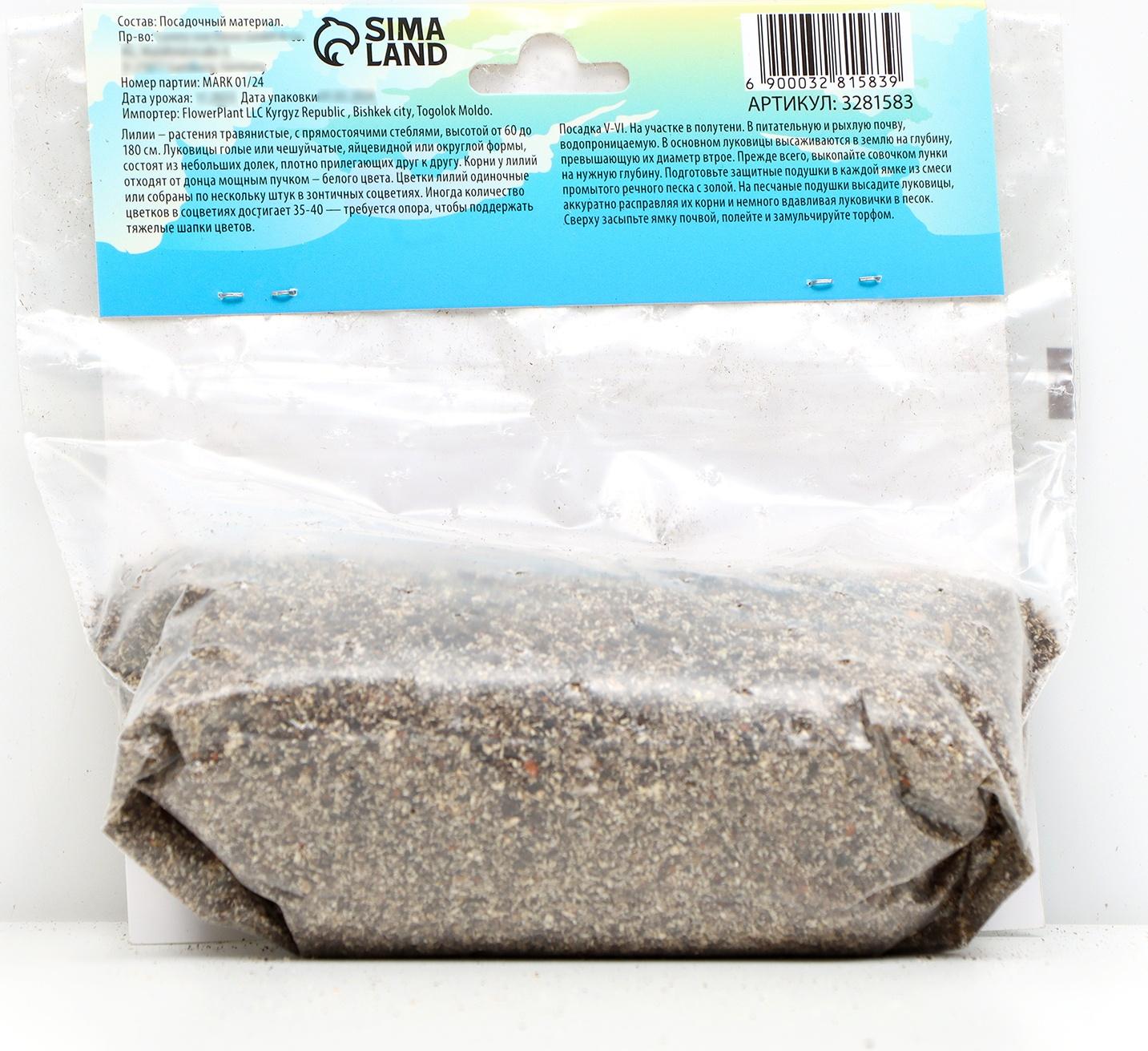 Лилия Азиатская 