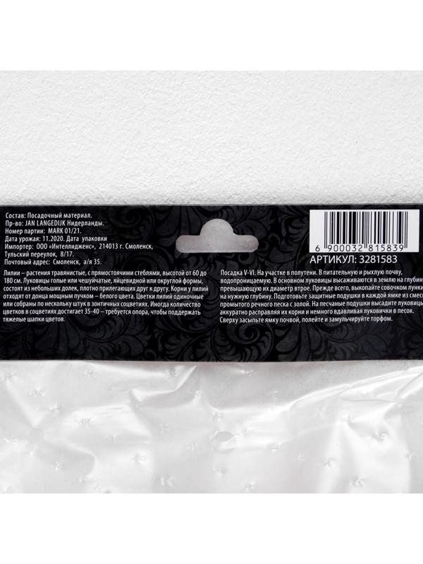 Лилия Азиатская 