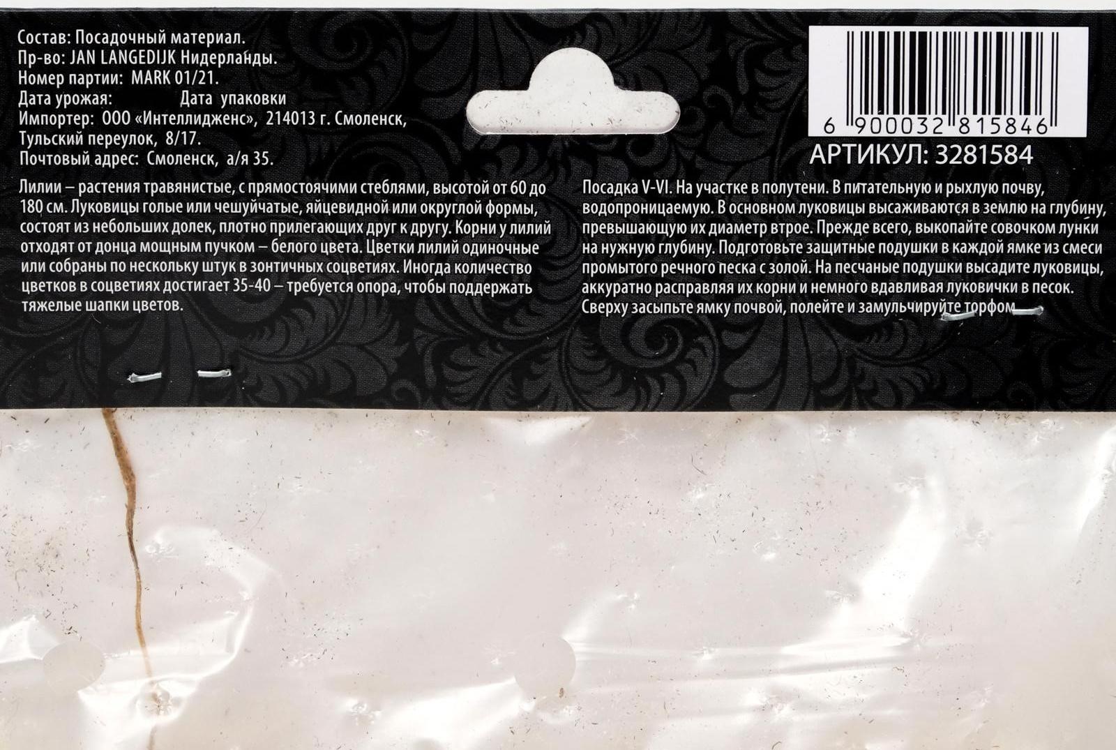 Лилия Азиатская 