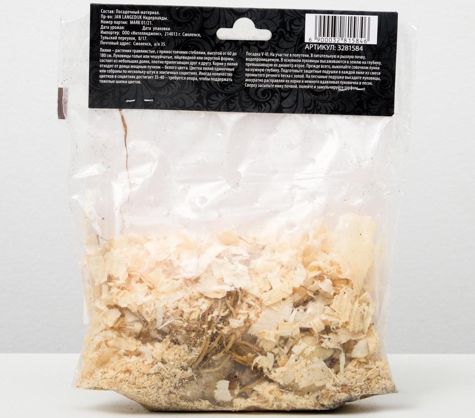 Лилия Азиатская 