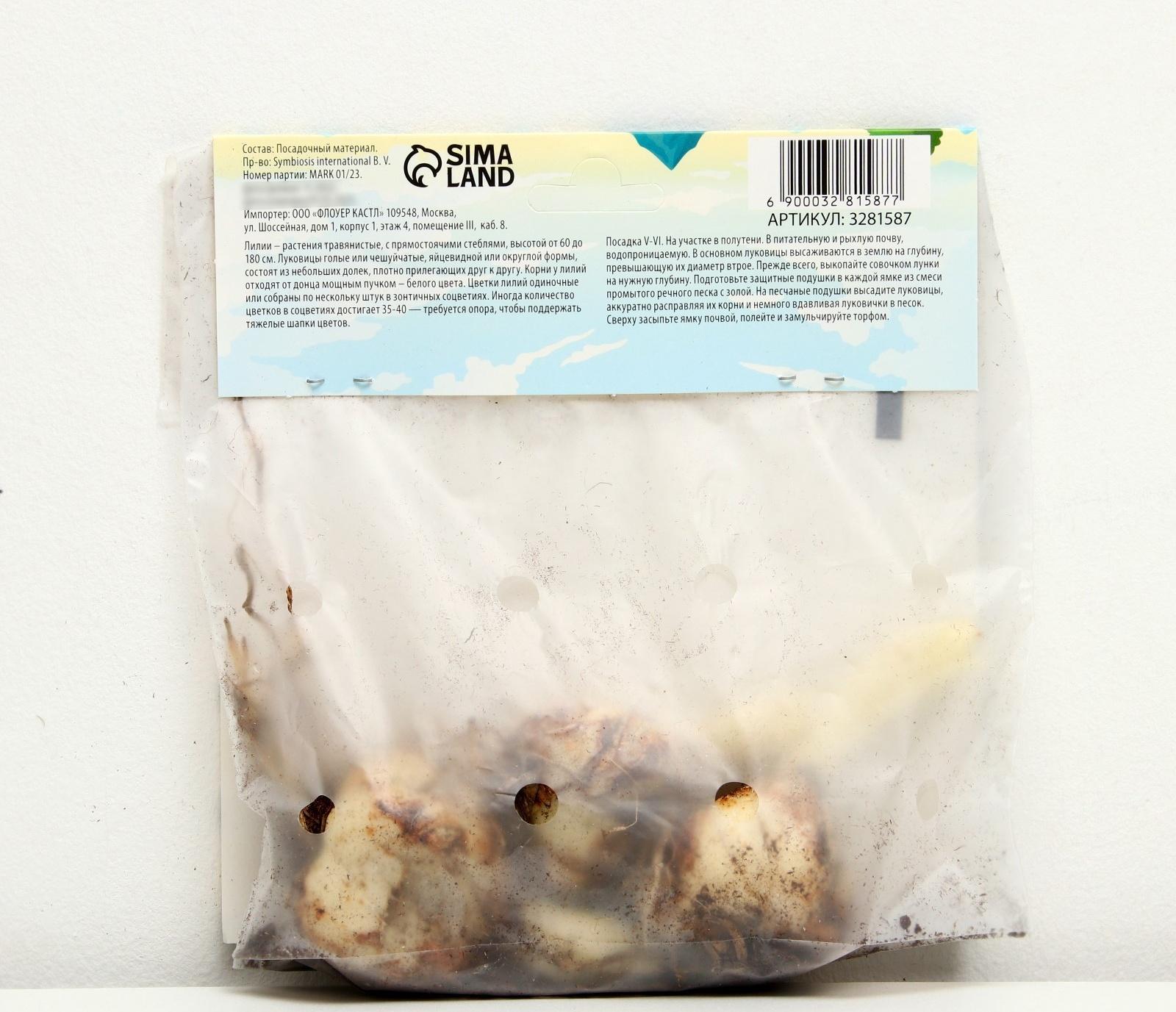 Лилия Многоцветная 