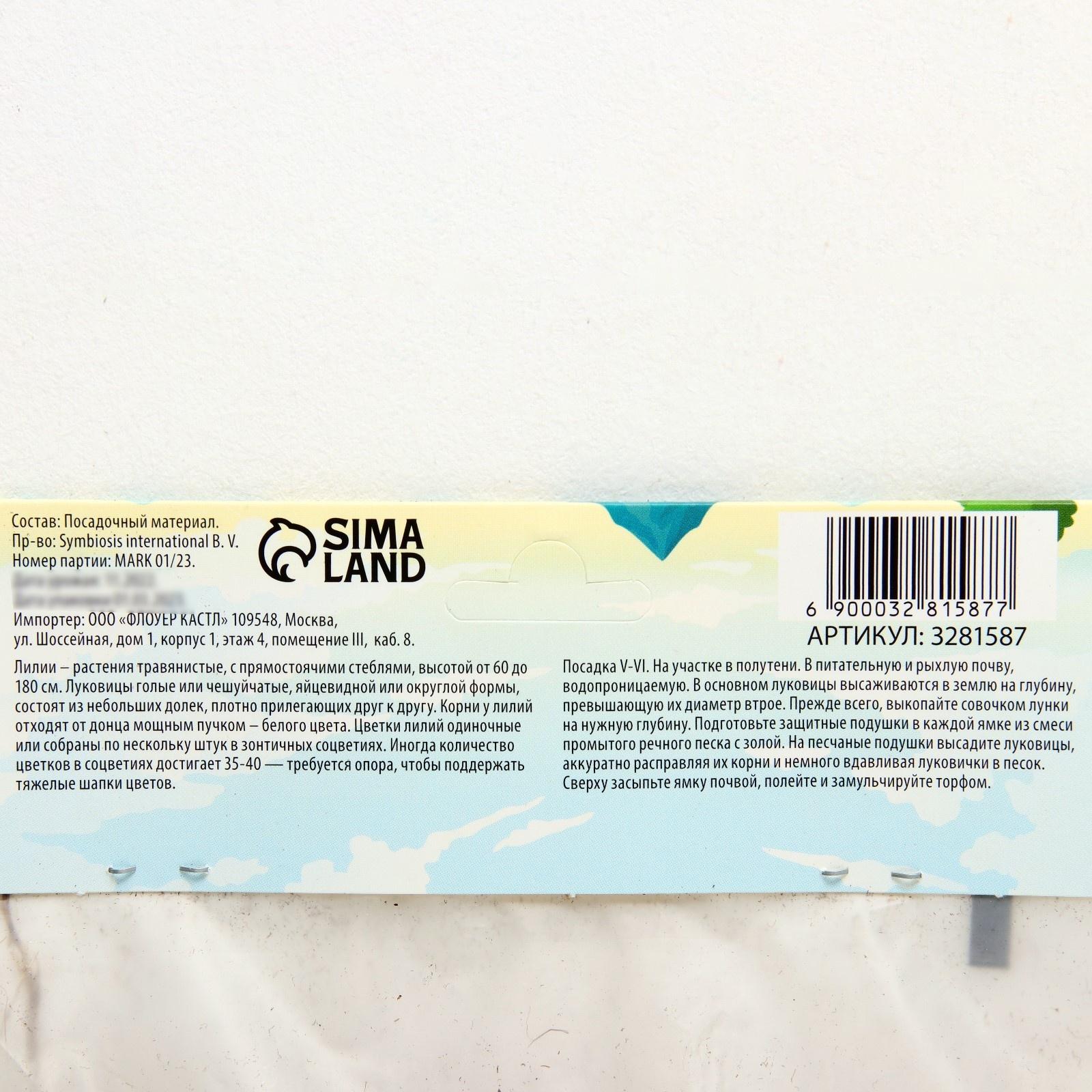 Лилия Многоцветная 