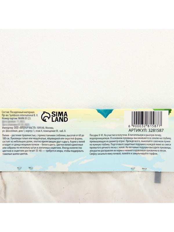 Лилия Многоцветная 