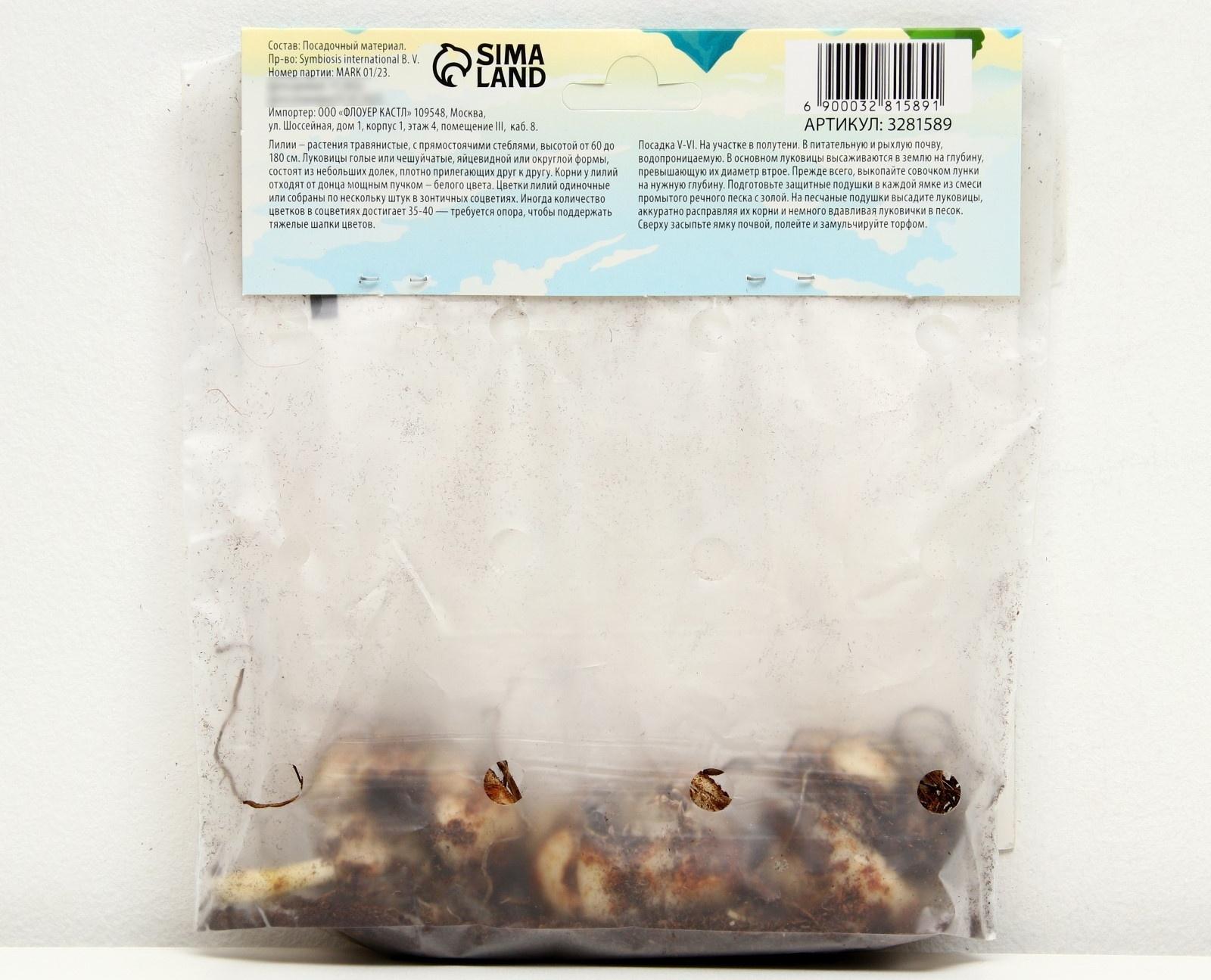 Лилия Многоцветная 