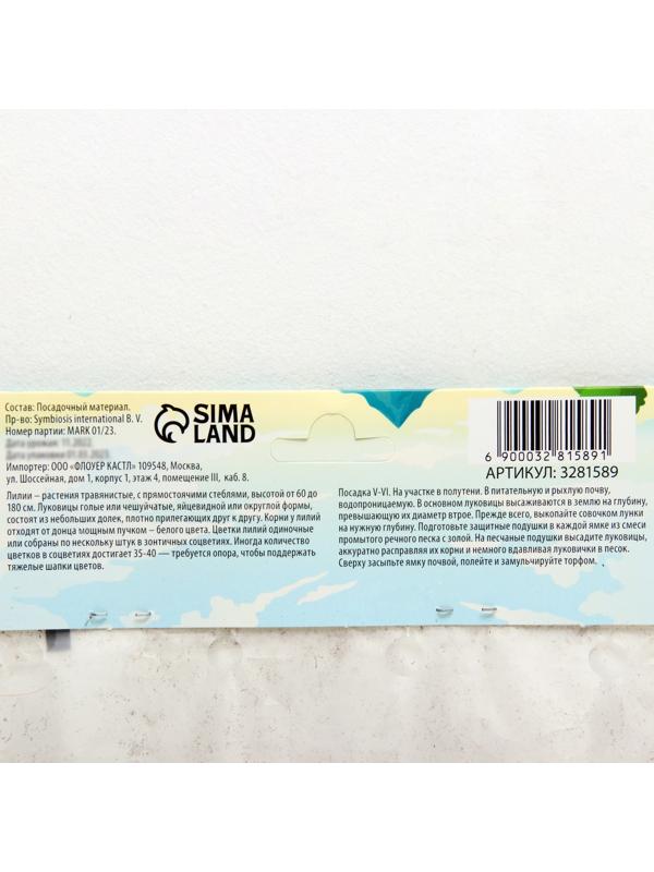 Лилия Многоцветная 