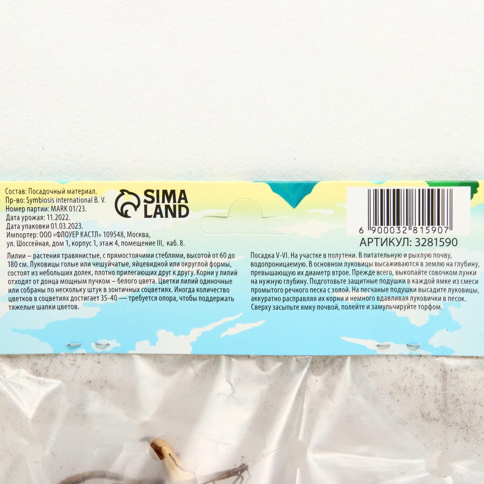 Лилия Трубчатая 