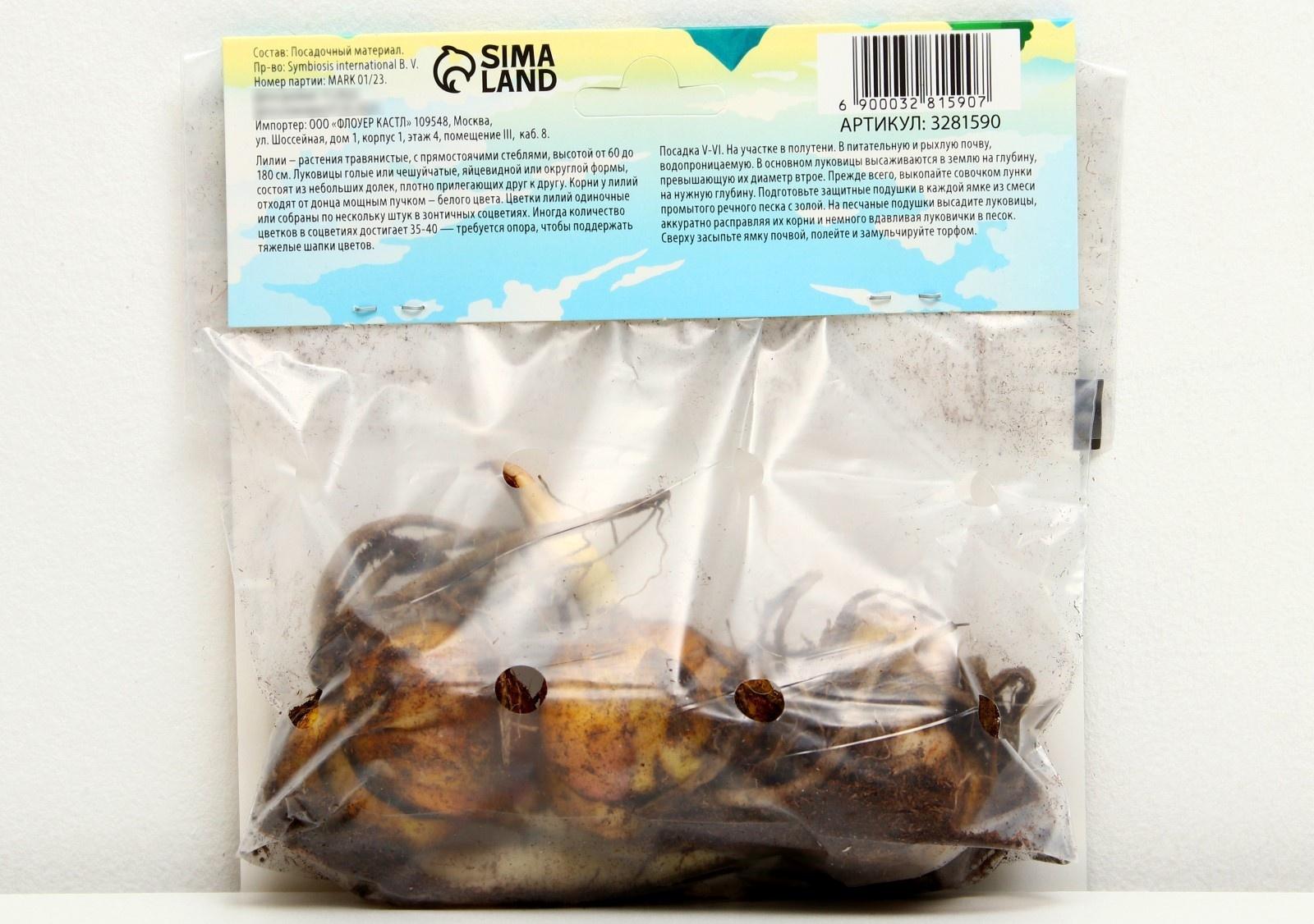 Лилия Трубчатая 