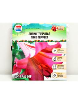 Лилия Трубчатая 