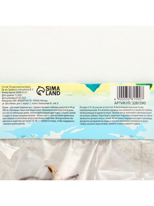 Лилия Трубчатая 