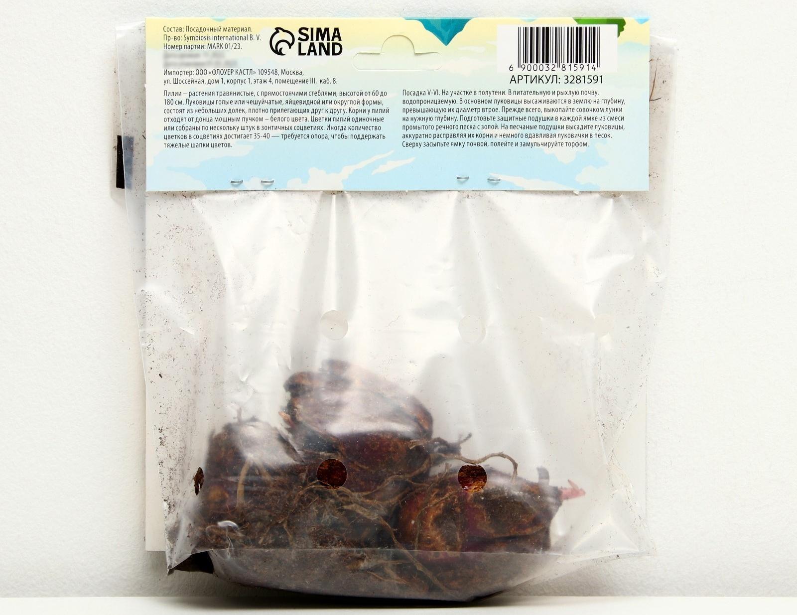 Лилия Трубчатая 