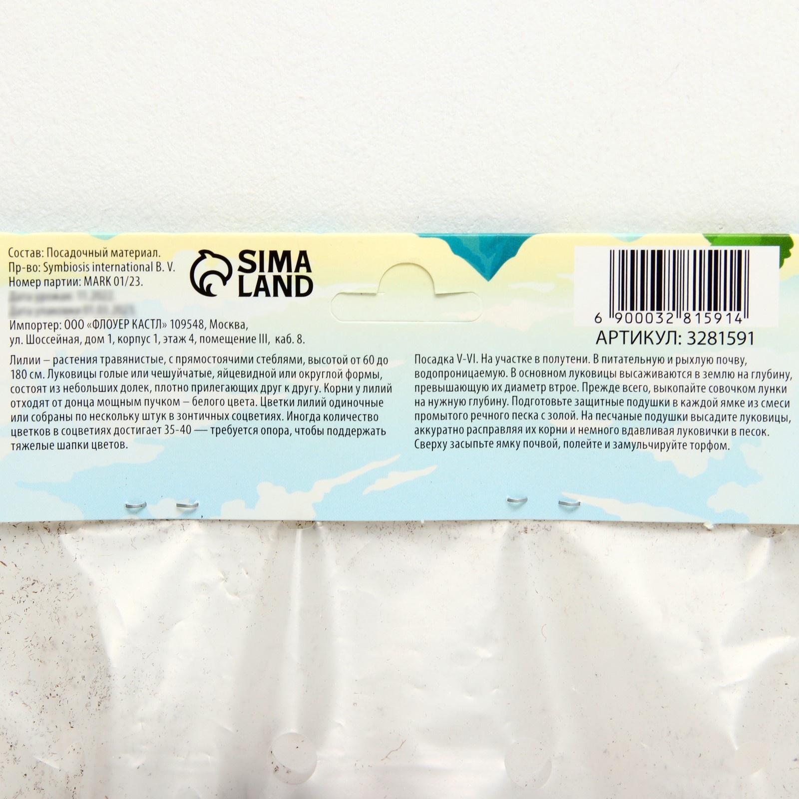 Лилия Трубчатая 