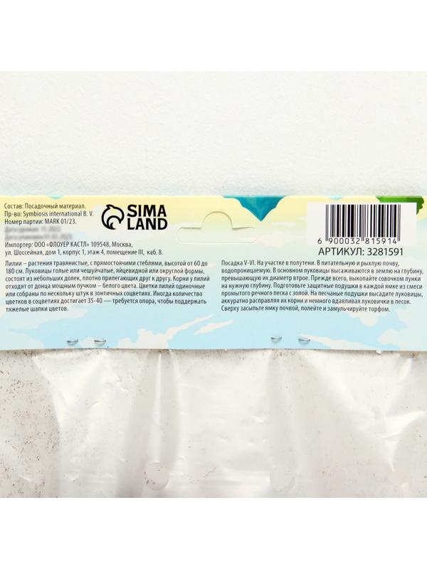 Лилия Трубчатая 